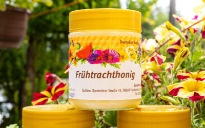 Wie unser Frühtrachthonig in Frankenberg entsteht